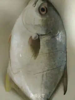 Make Creamfish step 0