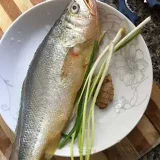 Make Vacuated yellowfish step 0