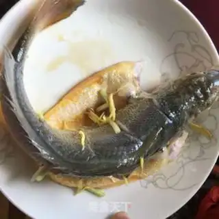 Make Vacuated yellowfish step 1