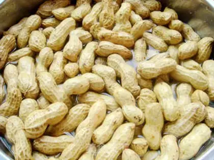 Make Cook peanuts step 0
