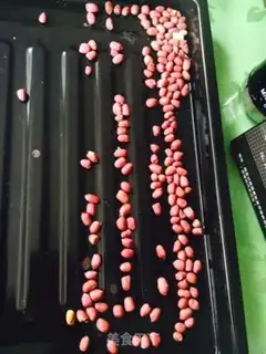 Make Cranberry peanut butter step 1