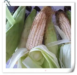 Make Fresh corn cake step 0