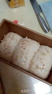 Make Oatmeal toast step 15
