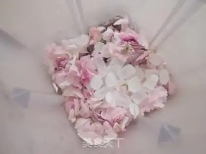 Make Sakura step 1