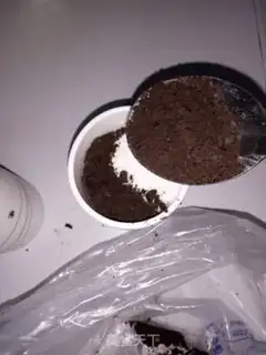 Make The yogurt plant step 5