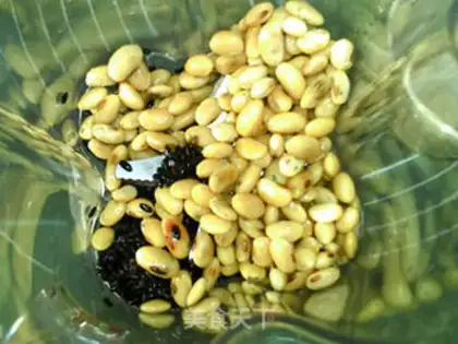 Make Black rice, soybean step 2