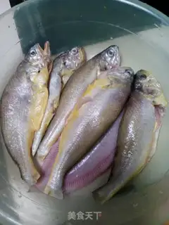 Make Squirt fish step 0