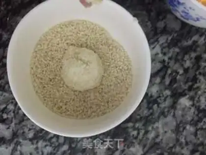 Make Sesamemaru step 3