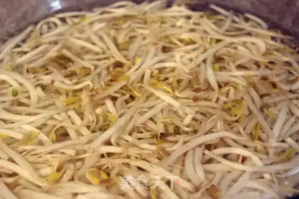 Make Bean sprouts step 0