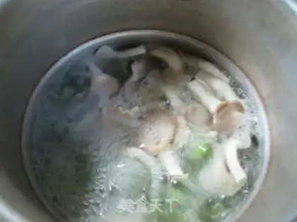 Make The soybeans and the fungus step 5