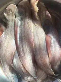 Make Pedalfish step 0