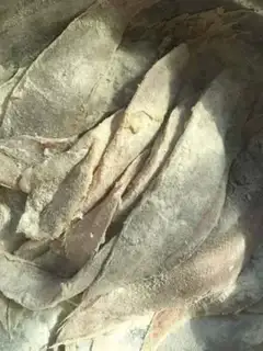 Make Pedalfish step 1