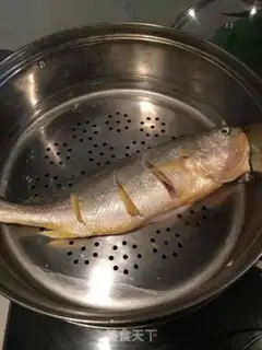 Make Vacuated yellowfish step 0