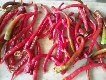 Make Homemade chili sauce step 0