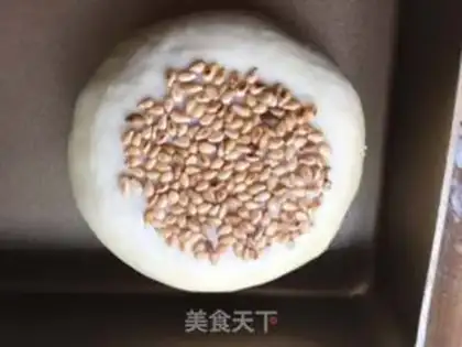 Make Wheat sprouts step 10