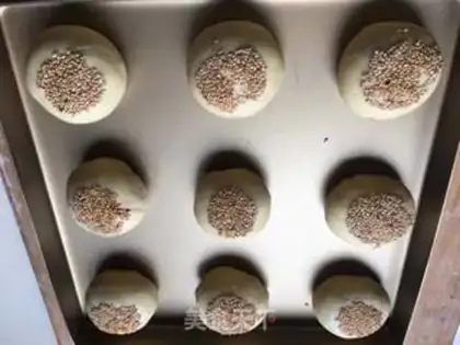 Make Wheat sprouts step 11