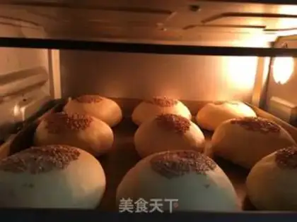 Make Wheat sprouts step 12