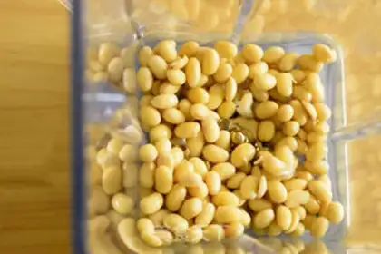 Make Pure soy milk step 1