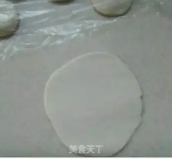 Make Shrimp dumplings step 7