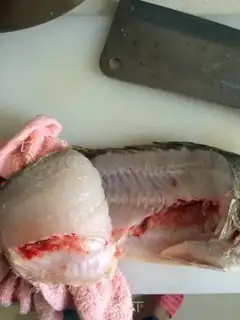 Make Squidfish meat, breakfast for bear kids step 2