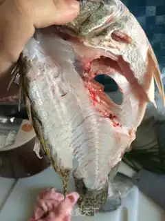 Make Squidfish meat, breakfast for bear kids step 3