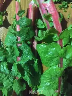 Make The pickles step 3