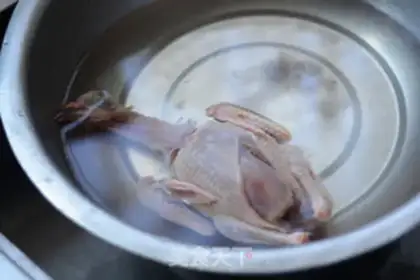 Make Pine pigeon soup step 1