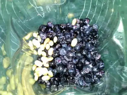 Make Grapes, soybean step 1