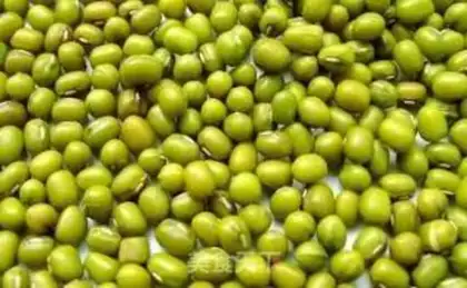 Make Ice-cold lily green bean soup step 0