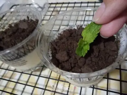 Make Scrambled eggs step 0