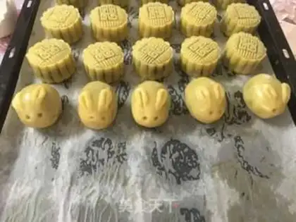 Make Puma step 12