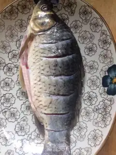 Make Fried gills step 0