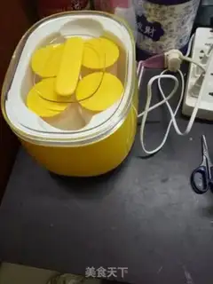 Make Home-made yogurt step 4
