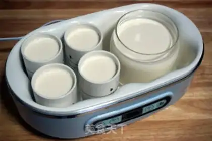 Make Get some yogurt step 4
