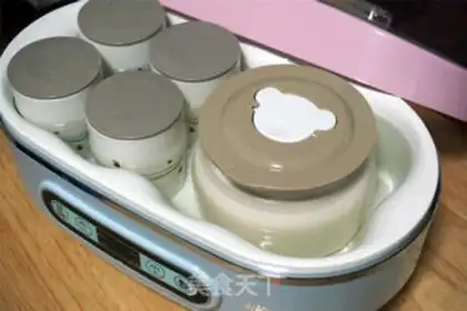 Make Get some yogurt step 5