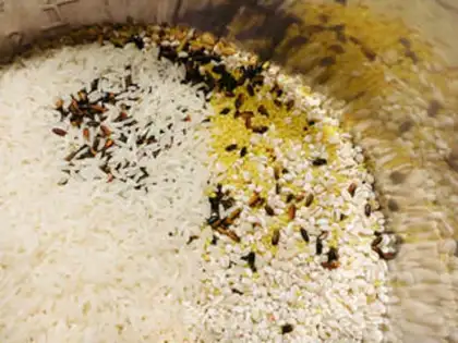 Make Black rice wheat porridge step 0
