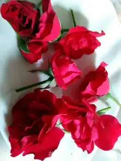 Make A rose-water waffle step 1