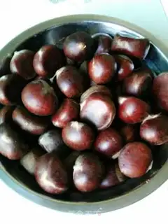 Make The baby loves chestnuts step 0