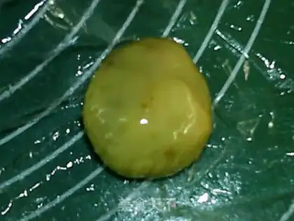Make A wide sausage moon cake step 13