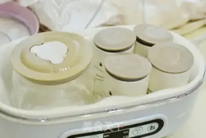 Make A homemade cup of thick yogurt step 0