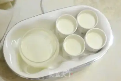 Make A homemade cup of thick yogurt step 3