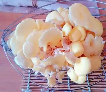 Make Eggs and yellow mushrooms step 0