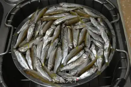 Make Wild stream fish dry step 1