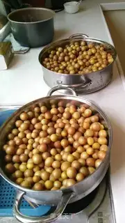 Make Production of honey step 1