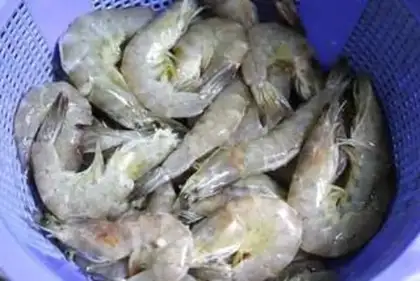 Make Red burning shrimp step 0