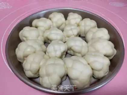 Make Tortoise step 2