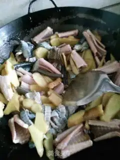 Make Ginger Viper step 4