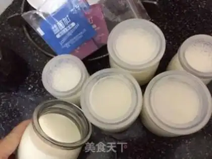 Make Milk powder makes yogurt step 4