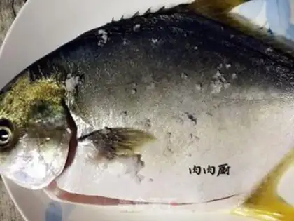 Make Vacuated goldfish step 1