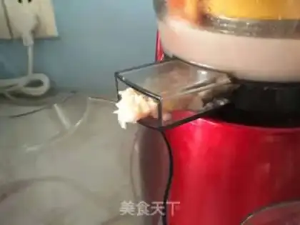 Make Pomegranate juice step 8